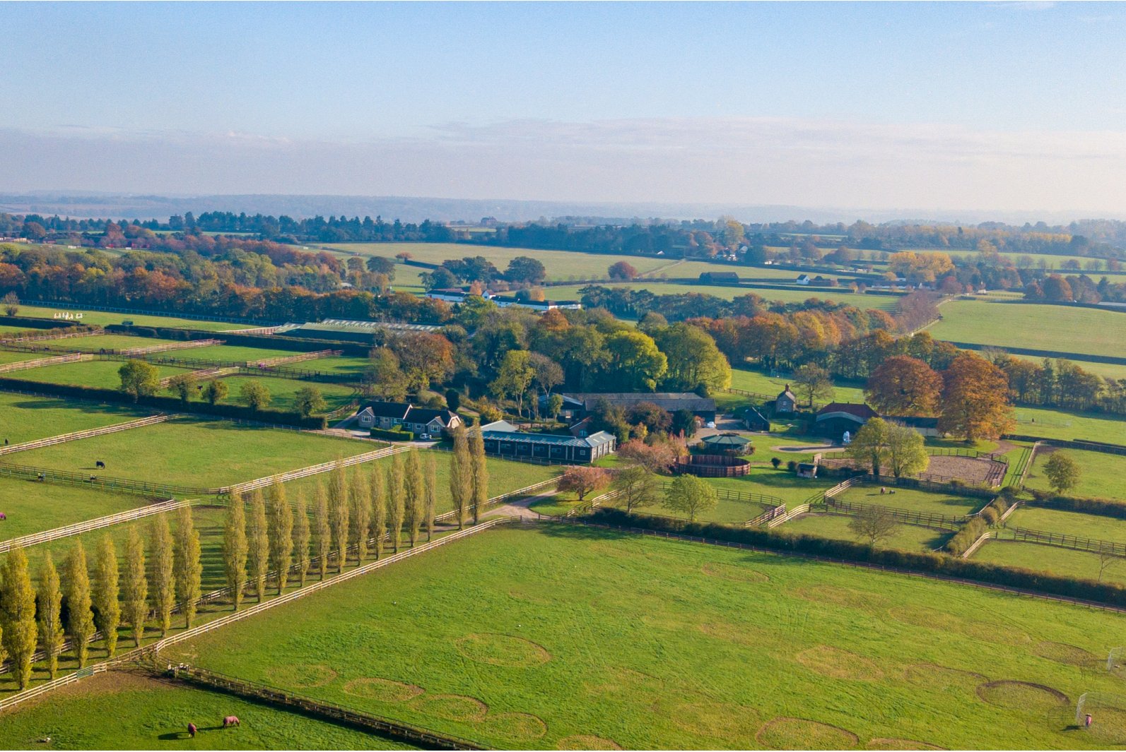 Stud Farms for Sale and to Rent Windsor Clive Equestrian Property