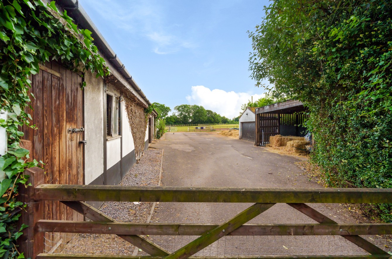 TUDOR RACING STABLES