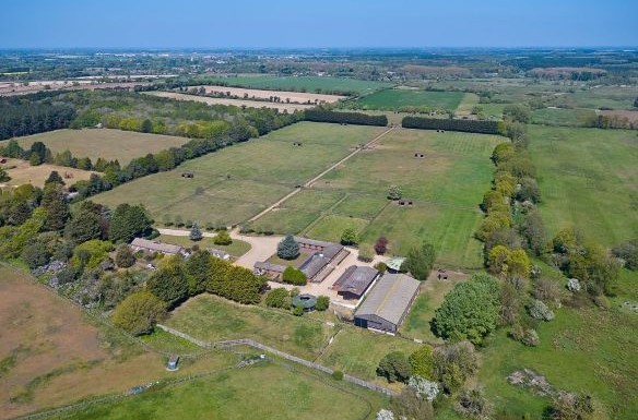 Stud Farm at Tuddenham 
